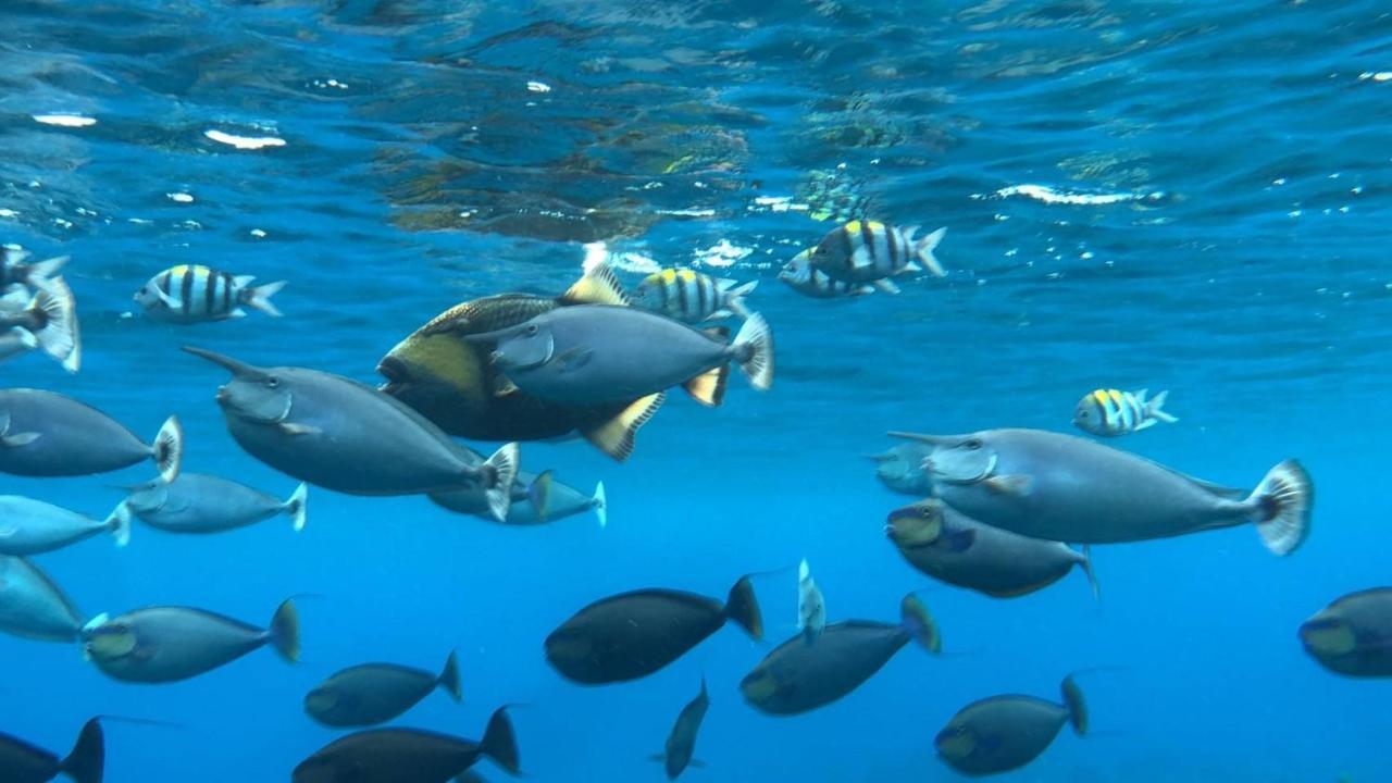 20Ft Sea Attic Διαμέρισμα Lyudao Εξωτερικό φωτογραφία